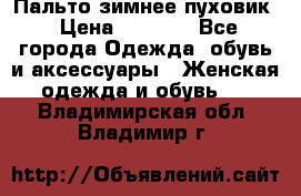Пальто зимнее пуховик › Цена ­ 2 500 - Все города Одежда, обувь и аксессуары » Женская одежда и обувь   . Владимирская обл.,Владимир г.